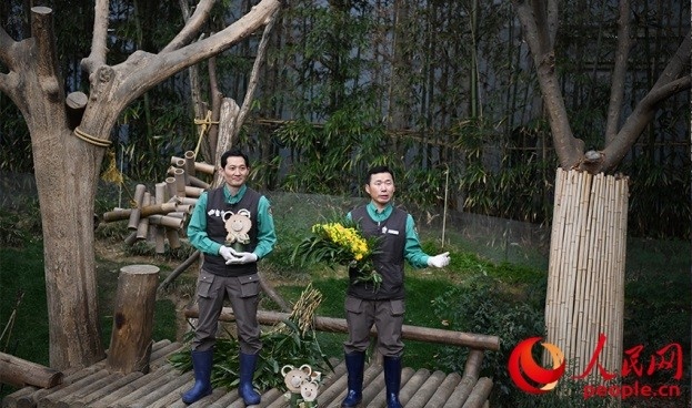 熊貓飼養(yǎng)員姜哲遠(yuǎn)和宋永寬向媒體介紹為“福寶”準(zhǔn)備的送別禮物。人民網(wǎng) 李帆攝