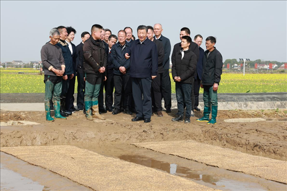 △ 2024年3月19日，習(xí)近平總書記來到湖南省常德市鼎城區(qū)謝家鋪鎮(zhèn)糧食生產(chǎn)萬畝綜合示范片區(qū)考察。