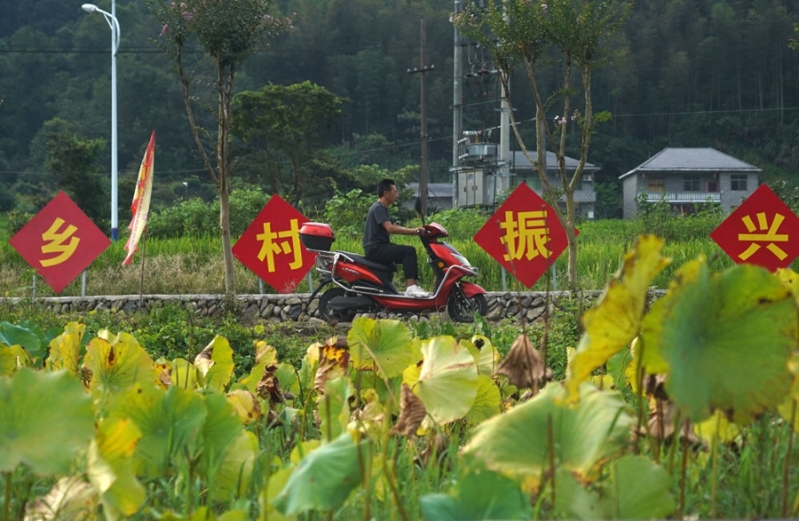 2023年8月24日拍攝的江西省靖安縣璪都鎮(zhèn)港背村一景。該村在當(dāng)?shù)卣С窒?，修古建，建民宿，搞開發(fā)，引進(jìn)竹筏漂流、觀光采摘、農(nóng)耕體驗(yàn)、森林研學(xué)等多種旅游業(yè)態(tài)，建成新田園生態(tài)度假小鎮(zhèn)，發(fā)展鄉(xiāng)村旅游，走上致富路。