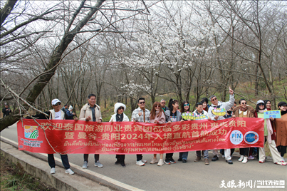 首個(gè)泰國(guó)入境旅游團(tuán)打卡貴安櫻花園。