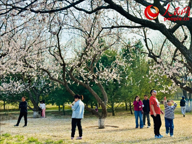 游客在北京長陽公園賞花。人民網(wǎng)記者 劉微攝