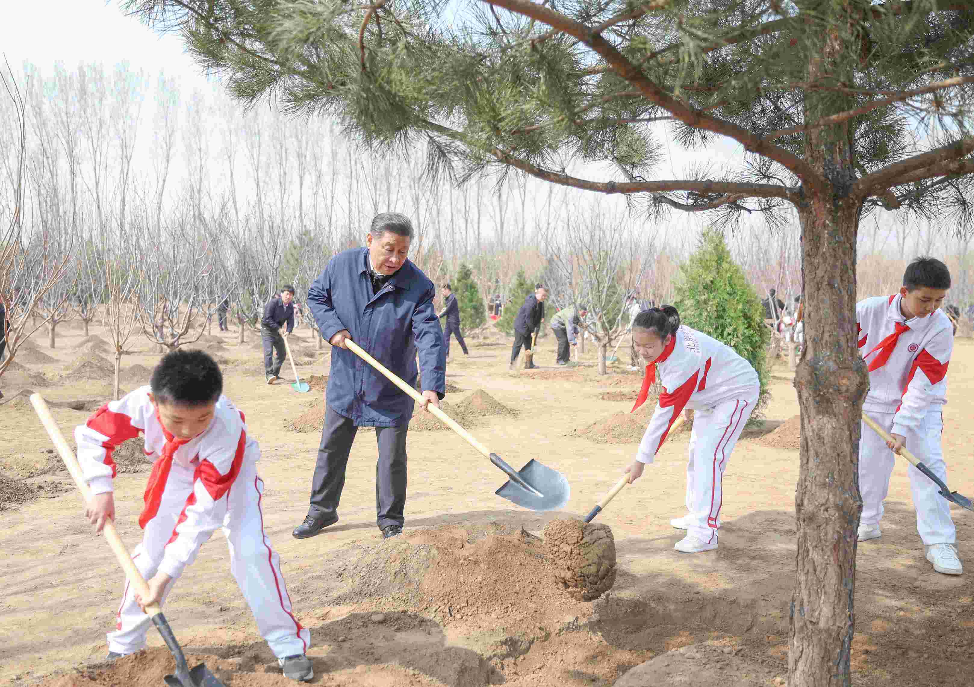 2024年4月3日，習(xí)近平總書記來到北京市通州區(qū)潞城鎮(zhèn)參加首都義務(wù)植樹活動。