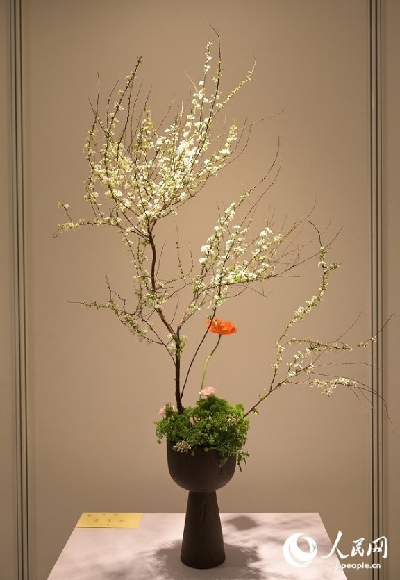 插花作品。人民網(wǎng) 玄番登史江攝