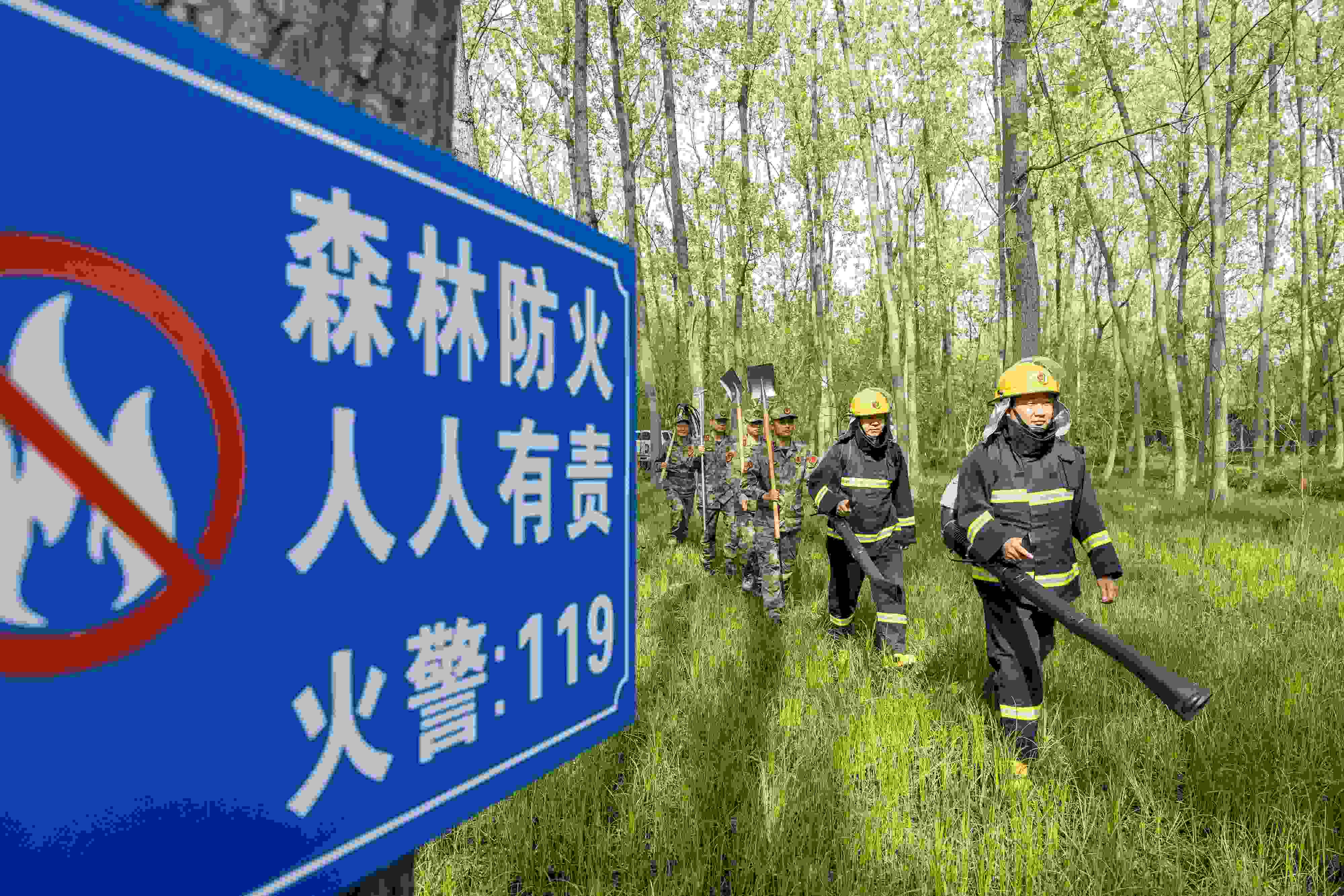 2024年4月9日，合肥市大房郢水庫水源保護(hù)地廬陽經(jīng)濟(jì)開發(fā)區(qū)段，基干民兵正在林間巡查火災(zāi)隱患。