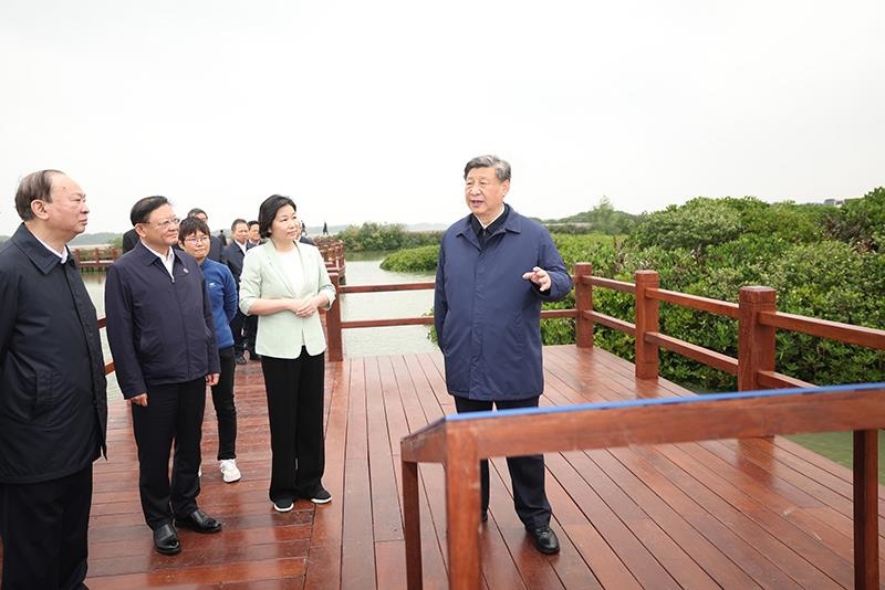 △2023年4月10日，習(xí)近平總書記在廣東湛江市麻章區(qū)湖光鎮(zhèn)金牛島紅樹林片區(qū)考察。