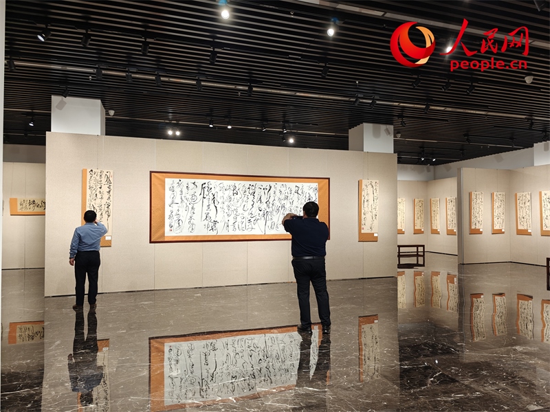 觀眾正在參觀展覽。人民網(wǎng)記者 韋衍行攝