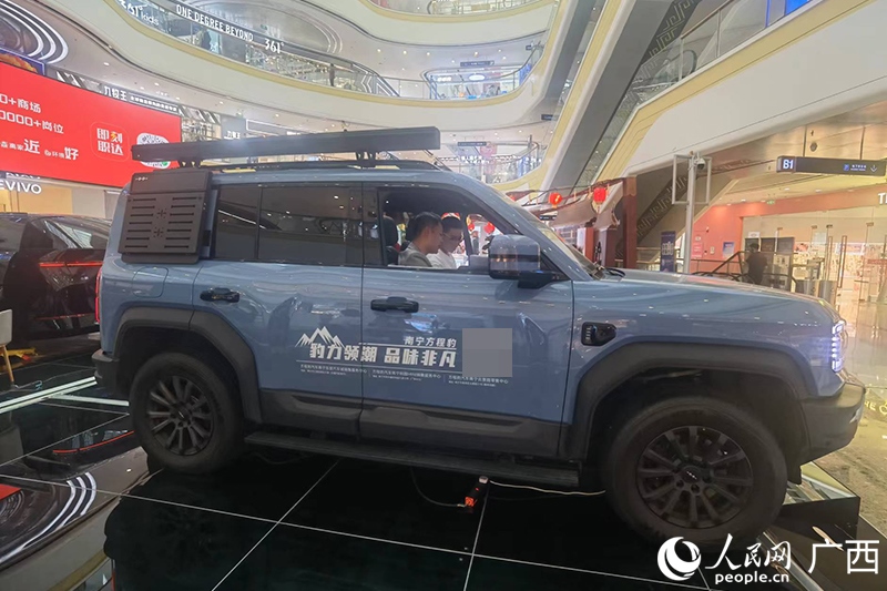 消費(fèi)者在商場(chǎng)選購(gòu)汽車(chē)。人民網(wǎng)記者 陳燕攝