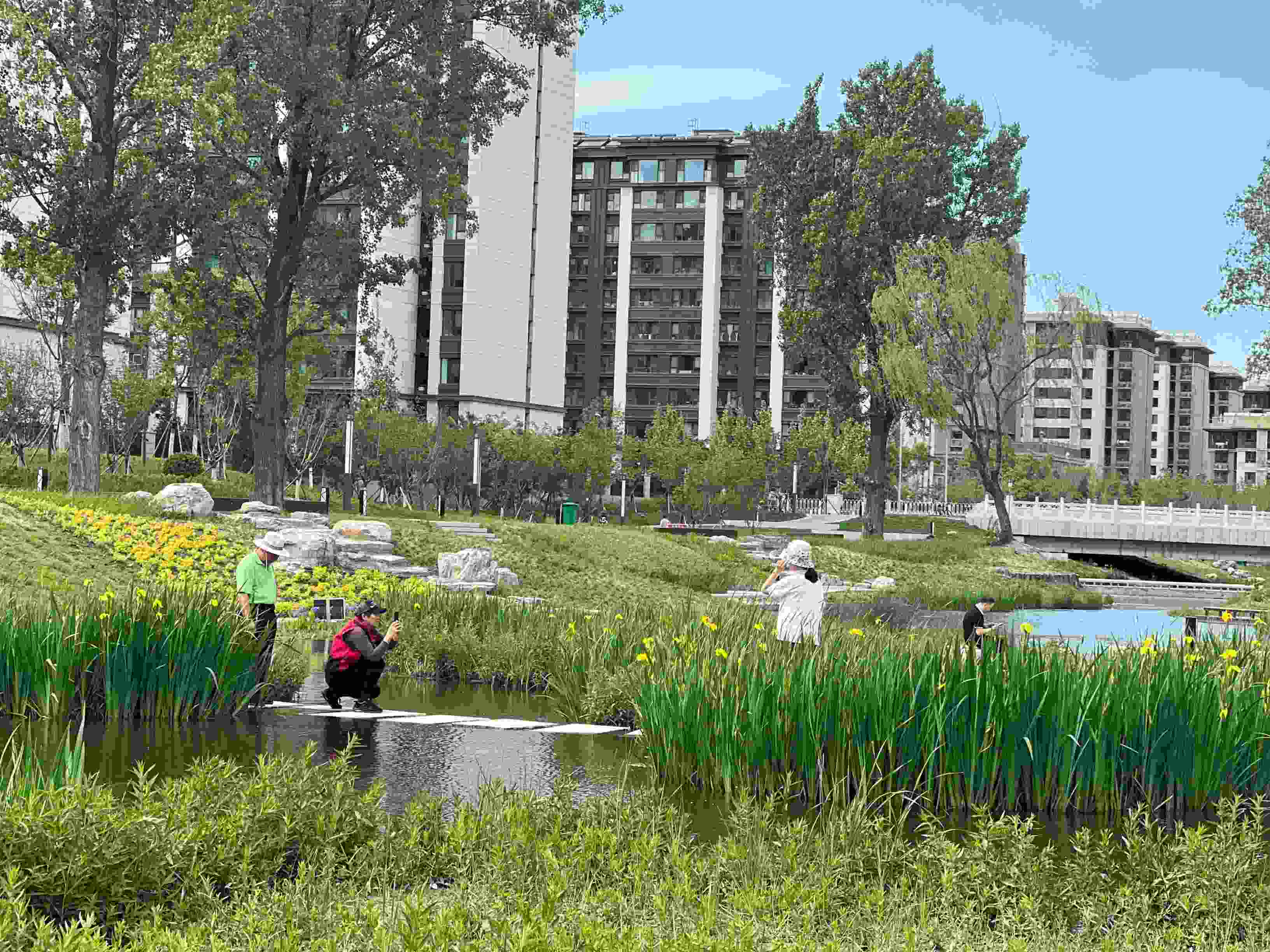 五一渠生態(tài)濱河公園內(nèi)，市民正在拍照留念。人民網(wǎng) 歐陽易佳攝