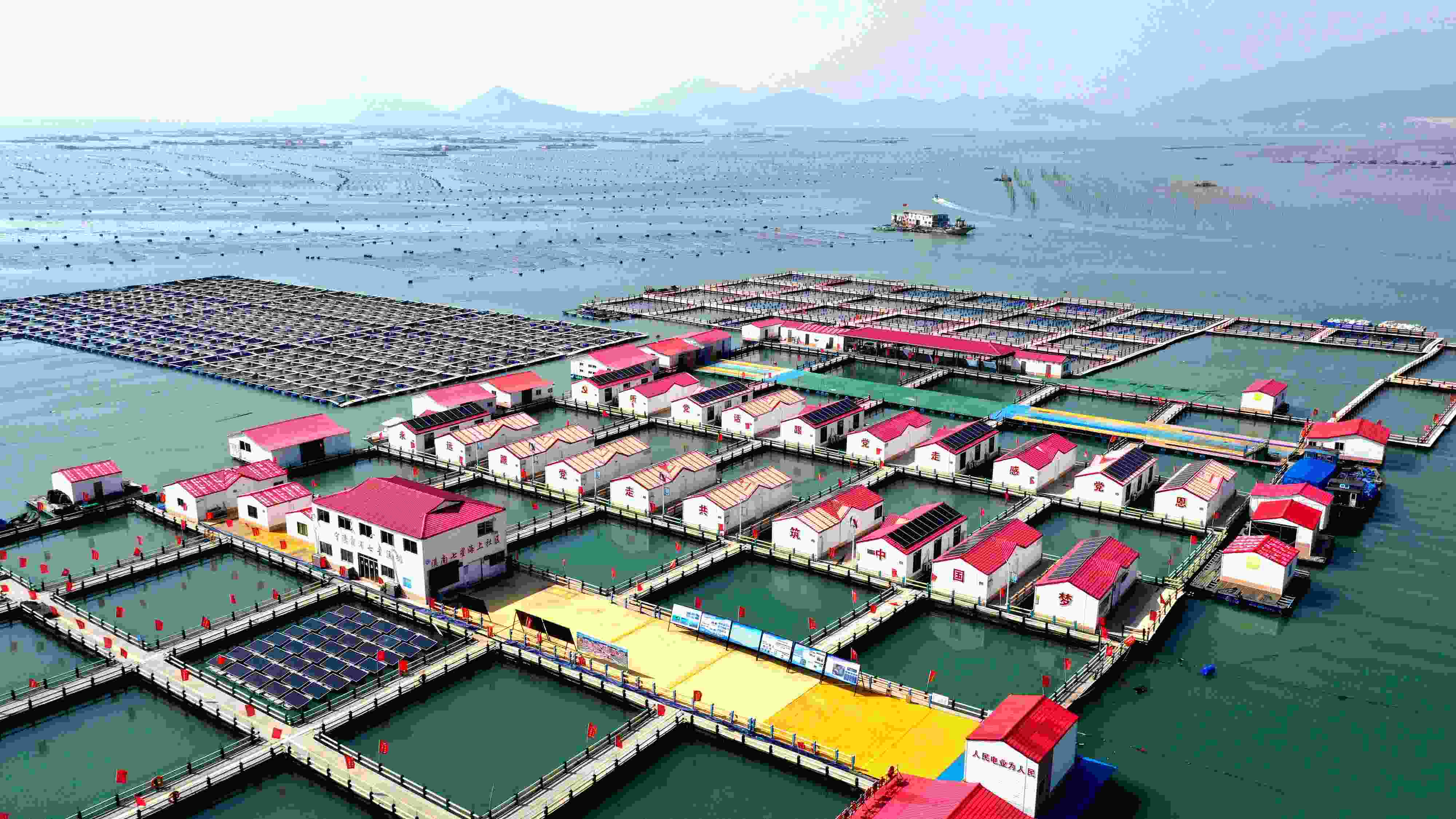 2024年3月20日，福建省寧德市，霞浦縣溪南鎮(zhèn)七星村漁排養(yǎng)殖示范區(qū)，漁民駕駛養(yǎng)殖船進(jìn)行海參養(yǎng)殖作業(yè)。