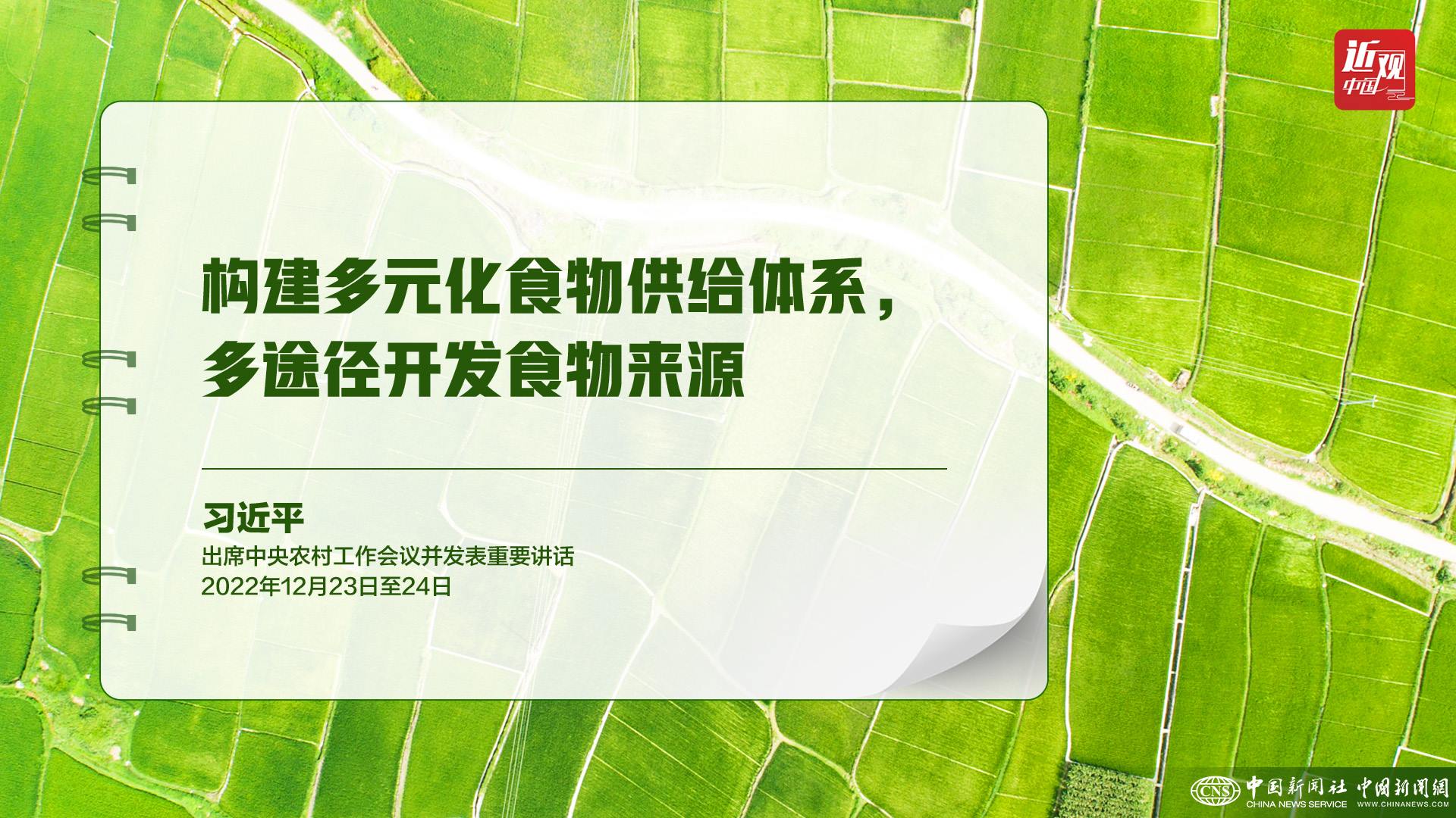 習(xí)近平：樹立大食物觀，構(gòu)建多元化食物供給體系