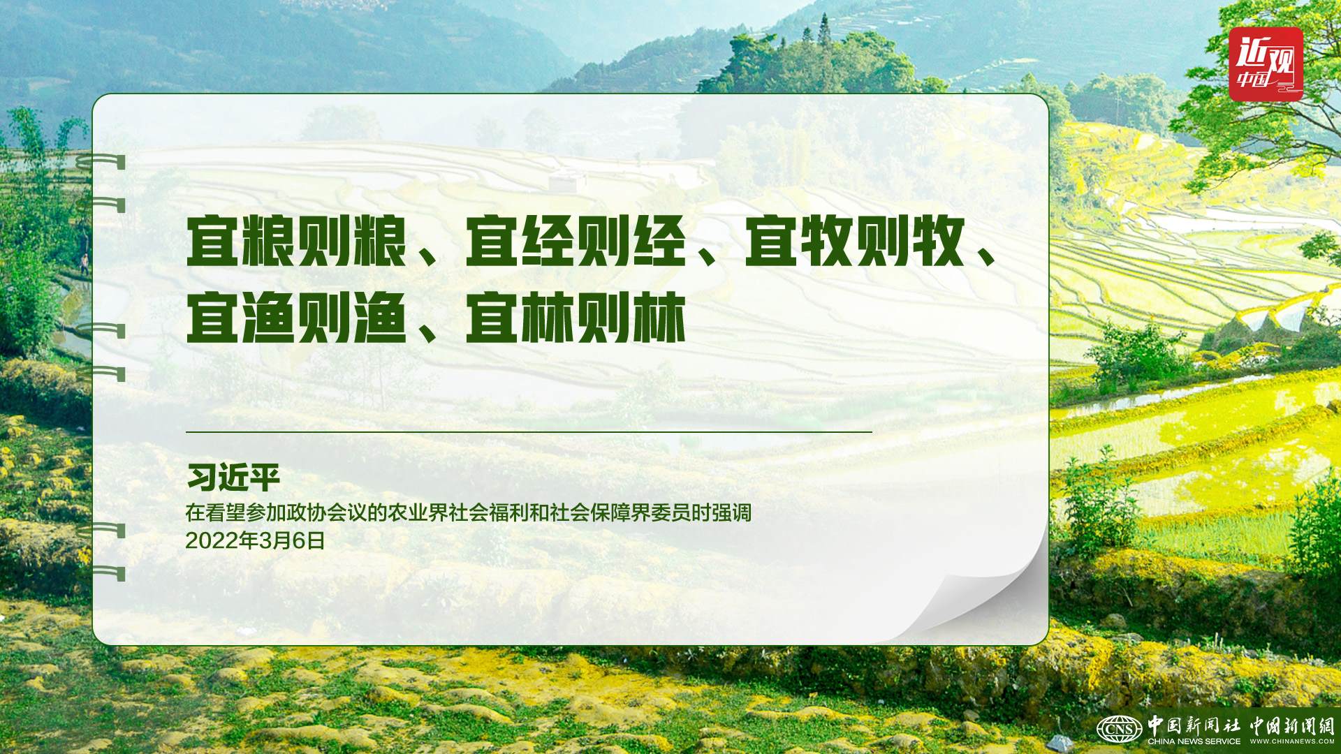 習(xí)近平：樹立大食物觀，構(gòu)建多元化食物供給體系