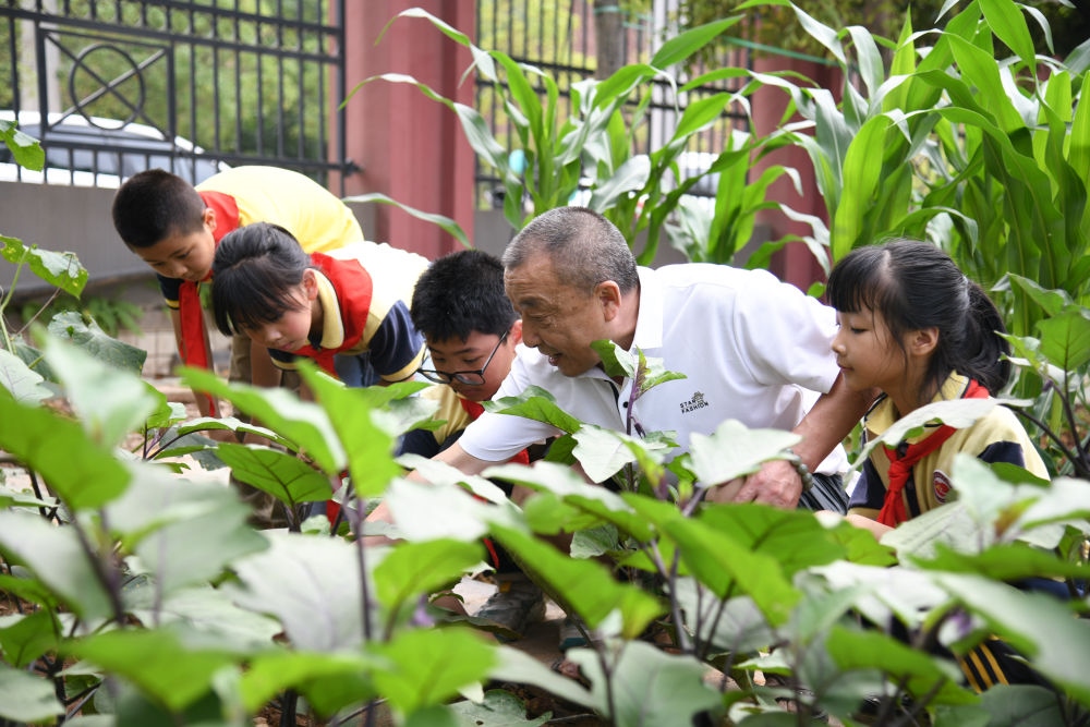 5月31日，老師帶領(lǐng)學生在之江小學勞動實踐基地學習蔬菜知識。新華社記者 胥冰潔 攝