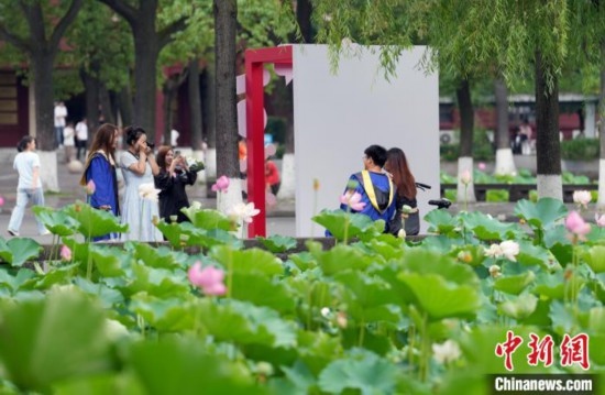 6月19日，時(shí)值一年畢業(yè)季，四川大學(xué)望江校區(qū)荷花池里的荷花盛開(kāi)，成為了畢業(yè)生們的打卡圣地，吸引了眾多畢業(yè)生拍照留念。圖為畢業(yè)生在荷花池邊拍照留念。中新社記者 安源 攝