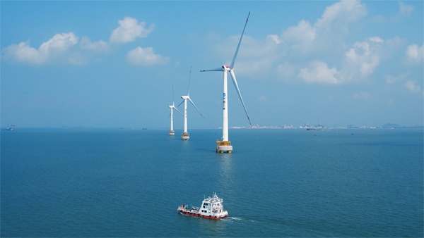 福建興化灣海上風(fēng)電場(chǎng)。受訪者供圖