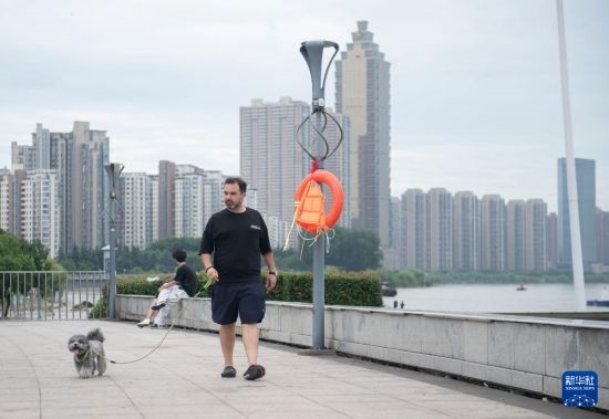 7月20日，在安徽蕪湖市，馬丁在長江邊遛狗。新華社記者 傅天 攝