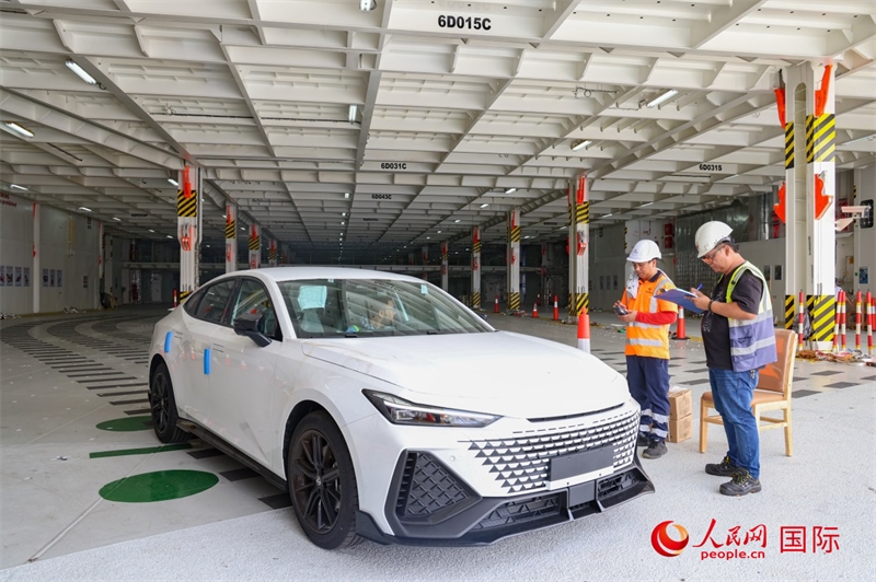 工人正在進(jìn)行卸車作業(yè)。人民網(wǎng)記者 任皓宇攝