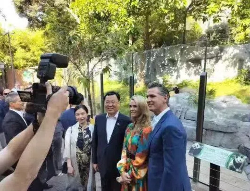 謝鋒大使及夫人與加州州長(zhǎng)紐森夫婦在圣迭戈動(dòng)物園大熊貓館前合影。圖片為中國(guó)駐美大使館提供