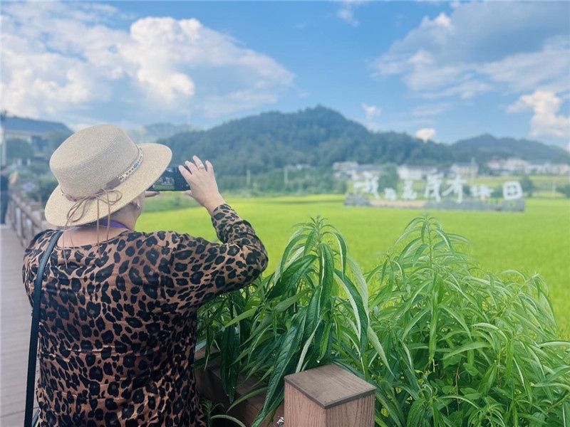 “我在花茂有塊田”，不僅是中國(guó)人的詩(shī)和遠(yuǎn)方，也是塔吉克斯坦“阿維斯塔”通訊社總編輯占納特洪·庫(kù)爾班諾娃的“烏托邦”。（張亞欣攝）