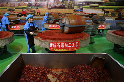 工人用電動(dòng)石碾加工辣椒面。新華社記者 范培珅 攝