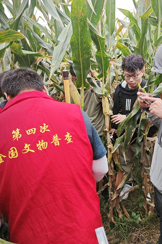 普查隊員正在使用探鏟進行探測。中國文物報供圖