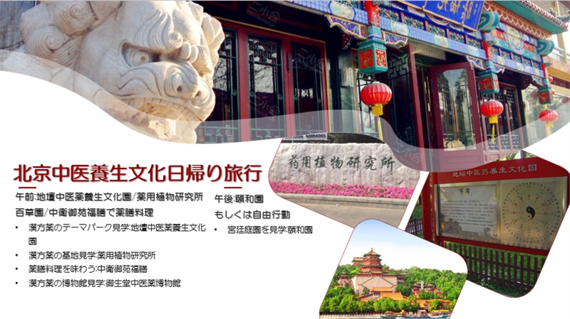 “你好！中國·休閑旅游—中國旅游說明會”宣講材料。中國駐東京旅游辦事處供圖