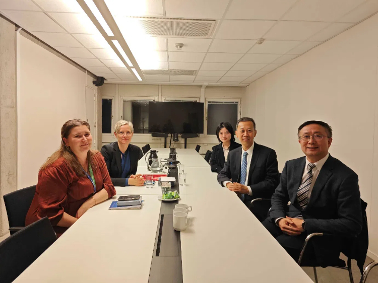 中國駐瑞典大使崔愛民會見瑞典聯(lián)合國教科文組織全國委員會秘書長。中國駐瑞典大使館供圖
