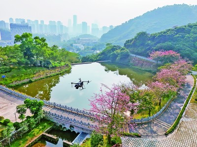 無人機在深圳塘朗山郊野公園里巡檢。新華社發(fā)