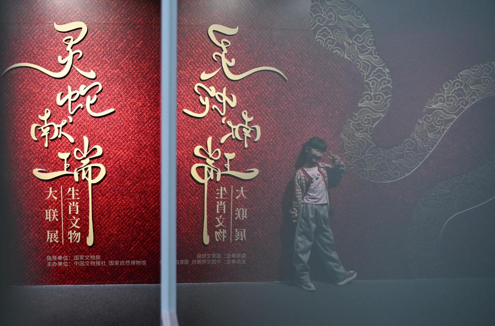 1月18日，一名小朋友在國家自然博物館舉辦的“靈蛇獻瑞——2025乙巳蛇年生肖文物大聯(lián)展”展覽中拍照留念。（新華社記者 陳鐘昊 攝）
