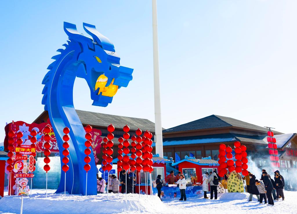2025年1月，游客在遼寧錦州東方華地城海洋冰雪王國內(nèi)游覽。新華社發(fā)