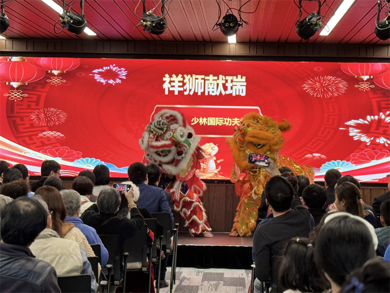 活動(dòng)現(xiàn)場(chǎng)舞獅表演。主辦方供圖