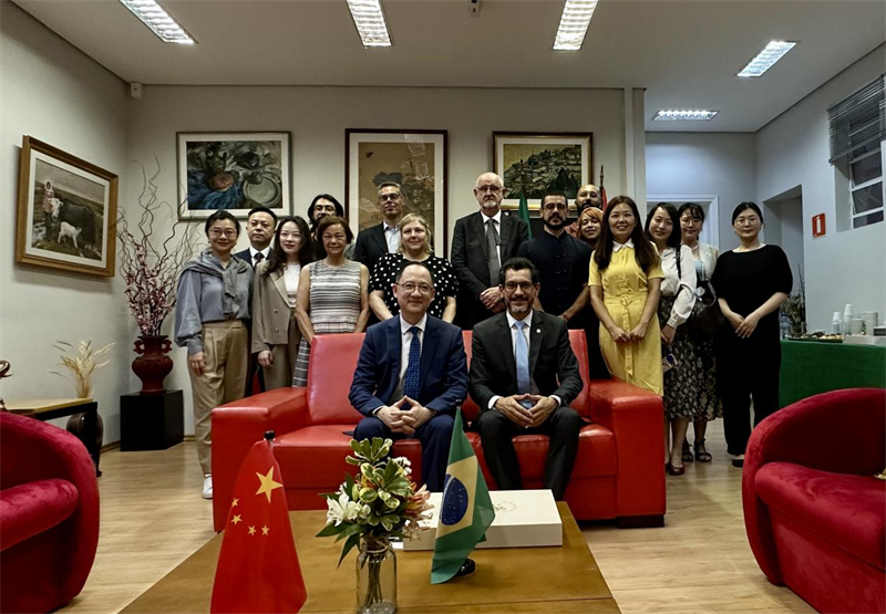 圖為參加座談會的來賓合影留念。 圣保羅州立大學(xué)孔子學(xué)院供圖