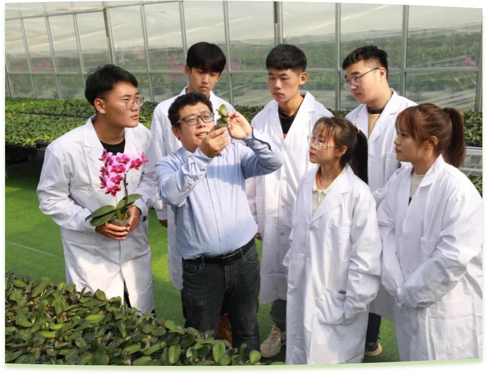濰坊工程職業(yè)學院科技創(chuàng)新團隊為花卉行業(yè)從業(yè)者作蝴蝶蘭雜交選育技術(shù)指導。學校供圖