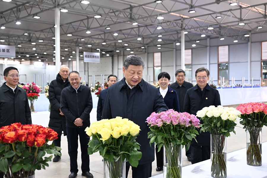 △3月19日下午，習(xí)近平總書記在云南麗江現(xiàn)代花卉產(chǎn)業(yè)園展廳考察時(shí)，察看鮮切花品種展示。