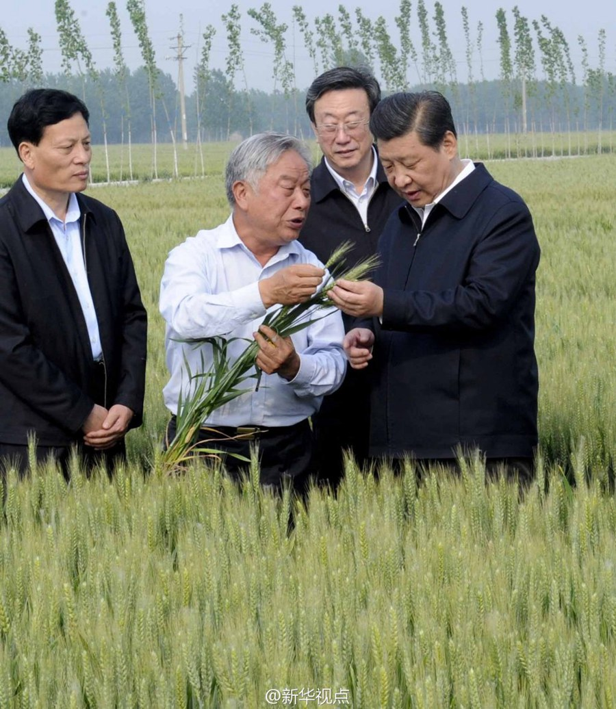 2014年5月，習(xí)近平總書記在河南省尉氏縣張市鎮(zhèn)高標(biāo)準(zhǔn)糧田察看小麥長勢。