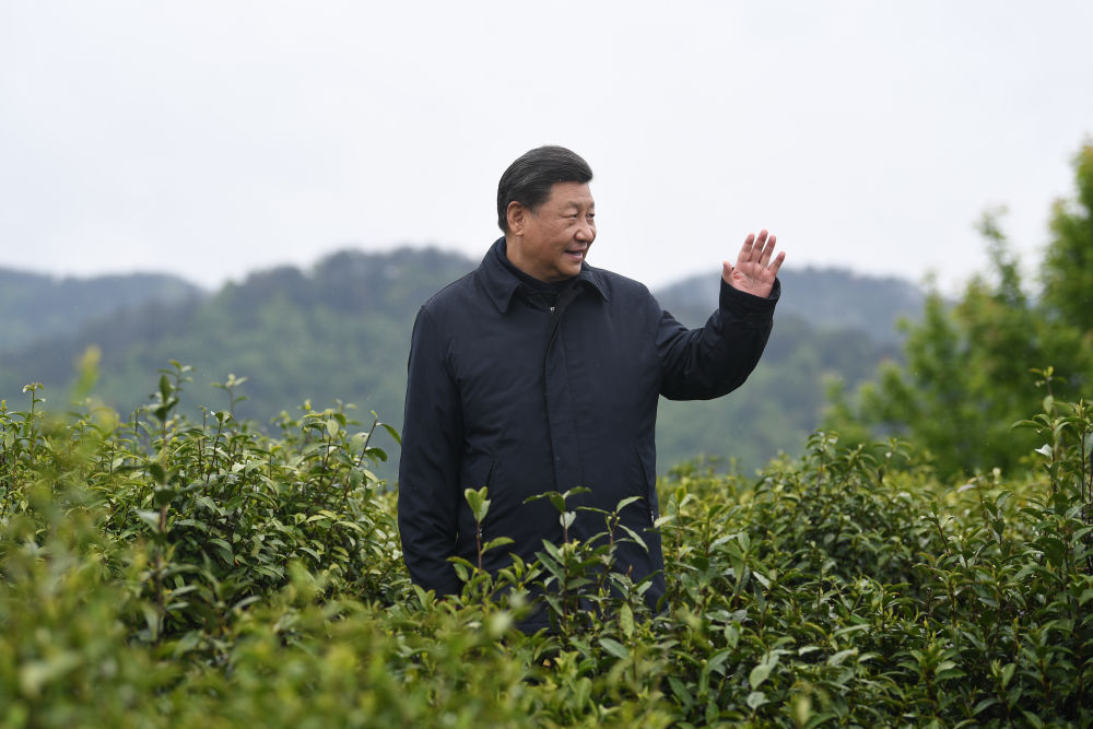 2020年4月21日，習近平總書記來到陜西安康市平利縣老縣鎮(zhèn)，在茶園考察脫貧攻堅情況。新華社記者 燕雁 攝