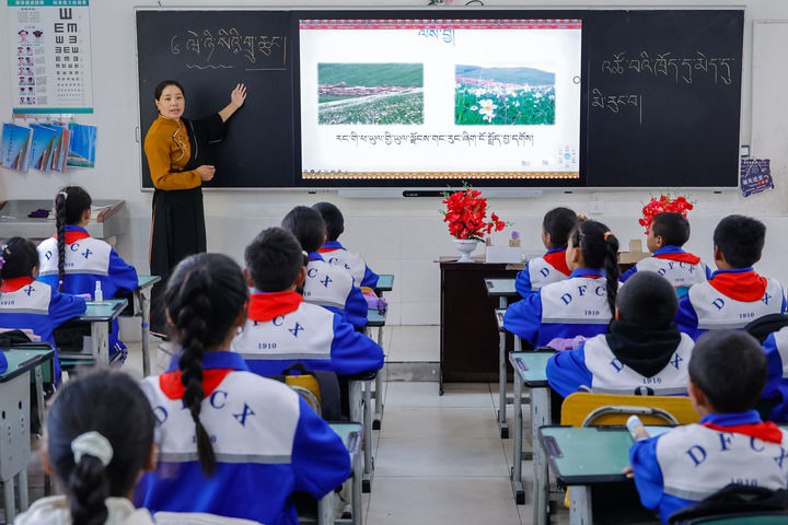 2024年9月27日，在四川省甘孜藏族自治州道孚縣城關(guān)第一完全小學(xué)，采取“藏加模式”教學(xué)的五年級(jí)一班的藏語(yǔ)文課上，準(zhǔn)木周老師指導(dǎo)藏族學(xué)生以家鄉(xiāng)草原風(fēng)物為主題寫(xiě)作藏語(yǔ)文作文。新華社記者 沈伯韓 攝